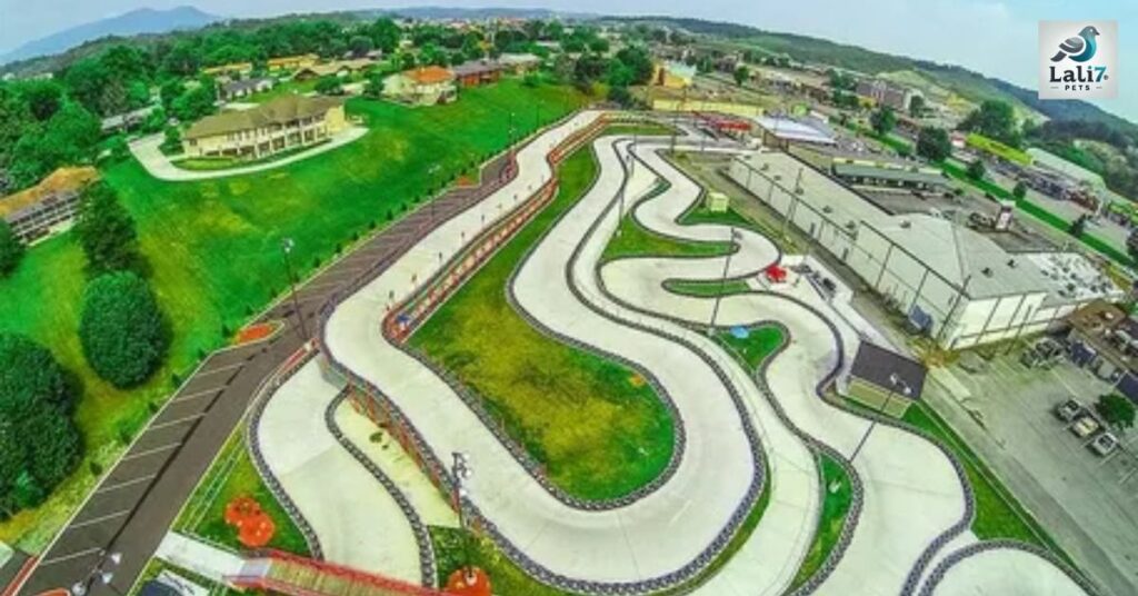 xtreme racing pigeon forge