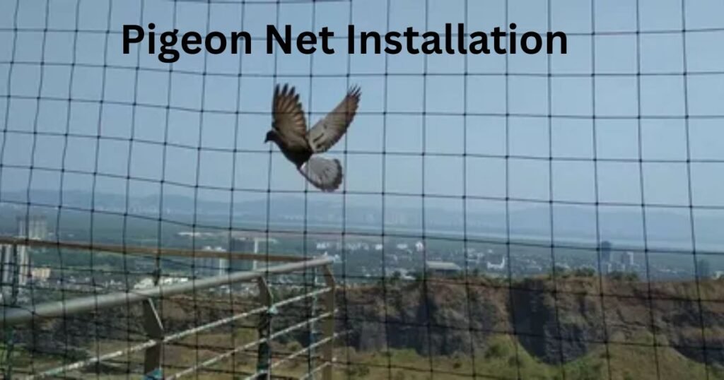 Pigeon Net Installation